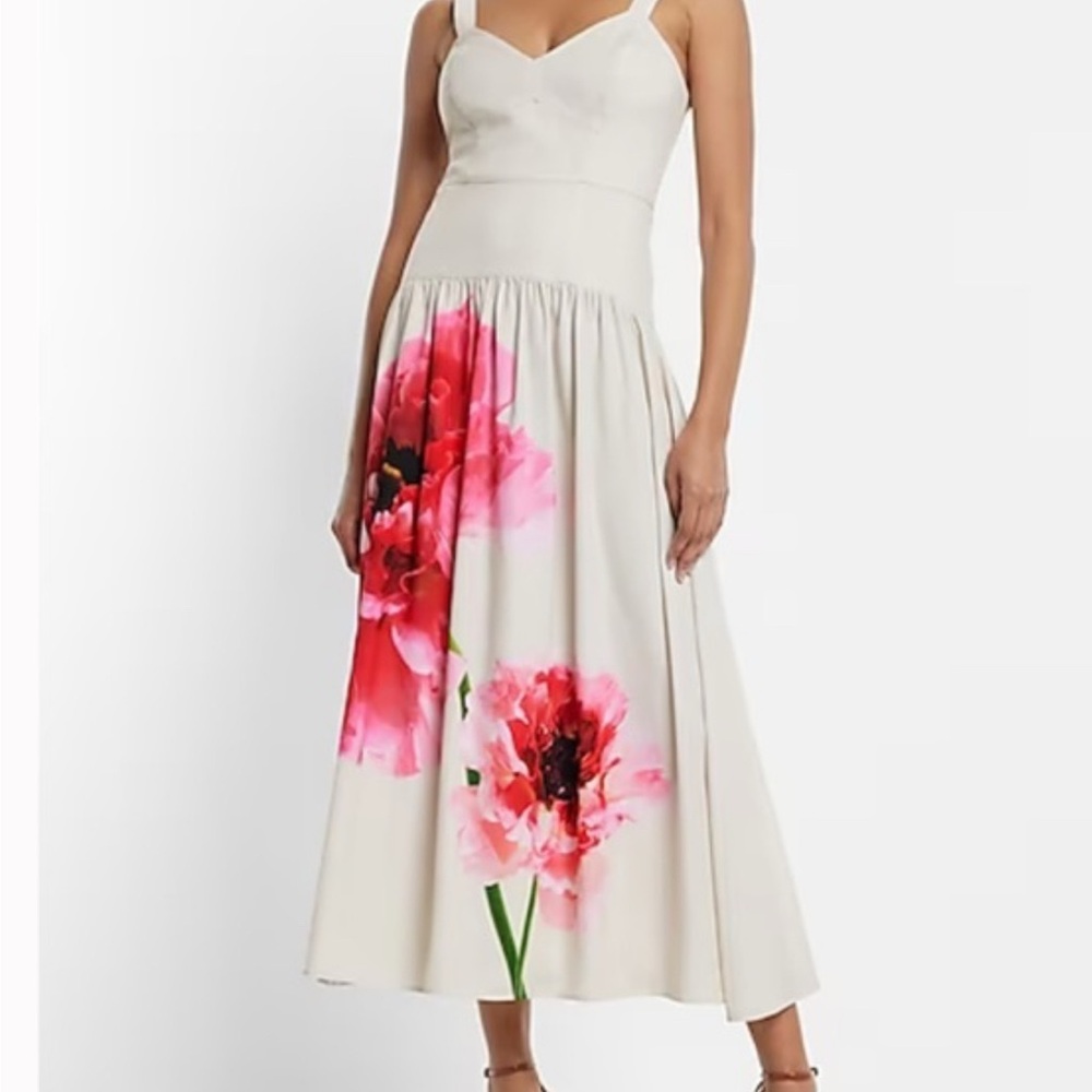 Floral Print Maxi Dress in Cream and Pink - Express New!